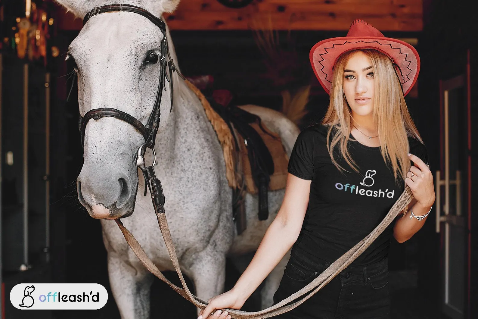 Offleashd Women's Favorite Tee Offleashd - Image 4